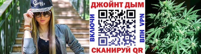 Конопля сатива  продажа наркотиков  Нестеровская 